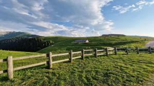 Malga Arpaco- camere e ristorante