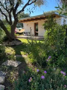 Sa Istera Sardegna - 圣安托尼奥迪加卢拉