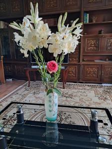 Central Apartment Bucharest Mall