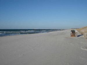 große Kastanie 57 - zwischen Ostsee und Zentrum