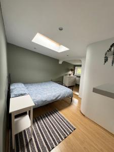 Brother street Rooftop apartment