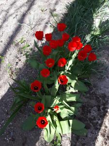 Logis Hôtel Le Céans