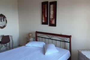 Xrysanthis dream house