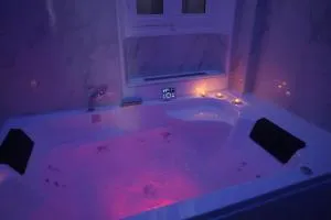 L'Experience Appartement & SPA Privé CHAMBERY - Vimines