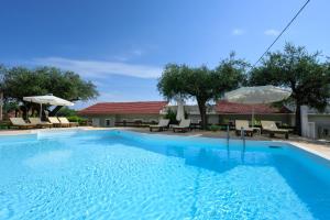Olive Grove Poolside Apartments