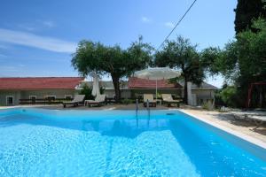 Olive Grove Poolside Apartments