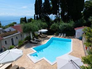 Olive Grove Poolside Apartments