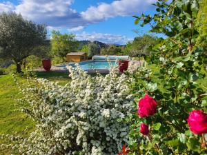 B&B / Chambres d'hotes Mas de Bouilhac Gite et Insolite : photos des chambres