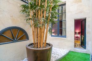Magnifiques Appartements sur les Quais de Bordeaux : photos des chambres
