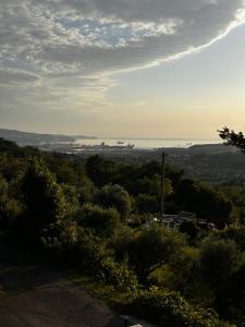 RIAD Apartments Premium 