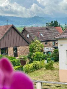 Appartements Le Vue sur Chateaux - avec parking proche Colmar : photos des chambres