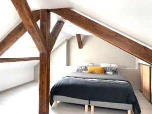 Appartements Le Vue sur Chateaux - avec parking proche Colmar : photos des chambres