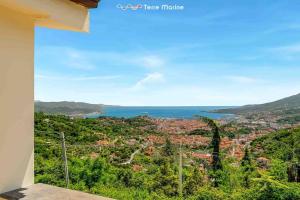 Reborn House, TerreMarine