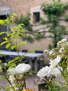 Sint Lucas - Razou - lacs du Morvan