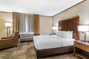 Queen Room - Non-Smoking room in Comfort Inn Sedalia Station