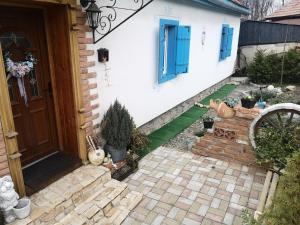 The Little Blue House