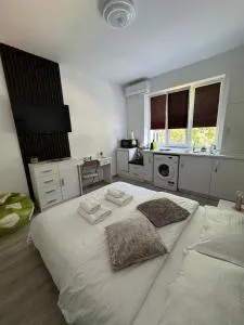 Vert Studio - Bogdana