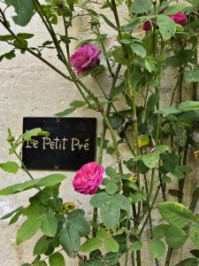 B&B / Chambres d'hotes Le Petit Pre : photos des chambres