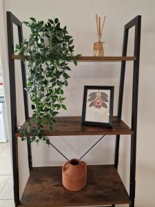 The Firs - 3 Bed Bungalow with parking