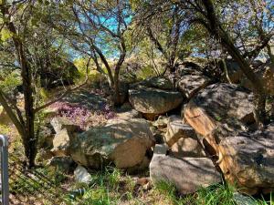 Your Home Away from Home