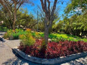 Your Home Away from Home