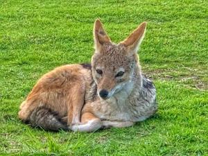 Your Home Away from Home