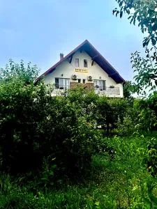 Pensiunea La Meleta - Rohia