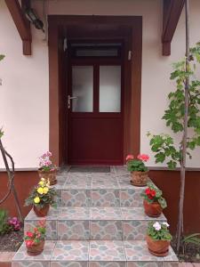 Casa Dragoi din Socolari, 218, Caras - Severin