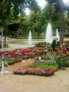 Santa Barbaras cute apartment