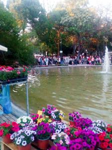 Santa Barbaras cute apartment