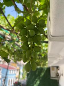 Taksim Neo Pera Suites