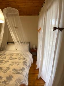 Dimitris Cozy House