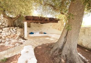 Trullo Agapanthus With Panoramic