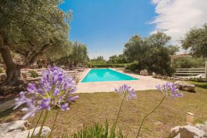 Trullo Agapanthus With Panoramic