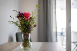 Ferienwohnung Münster, sehr zentral