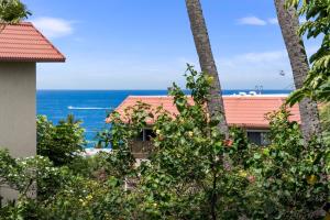 Kona Pacific D524 Kauhale