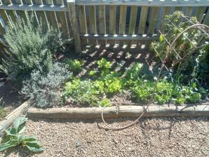 Big Oak Cosy Cottage