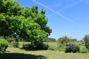 Maisons de vacances 4* a Belle ile en Mer, 5 chambres, 2 salles de bains, avec jardins privatifs : photos des chambres