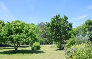 Maisons de vacances 4* a Belle ile en Mer, 5 chambres, 2 salles de bains, avec jardins privatifs : photos des chambres