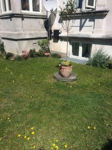 Mezzanine apartment design furnished & 3m2 for city center