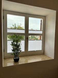 Ulcinj - Stonehouse in Oldtown with sea view