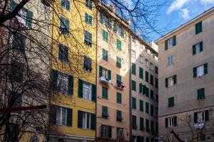Appartement 1 Chambre