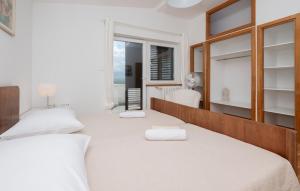 Amazing Home In Vinjani Donji