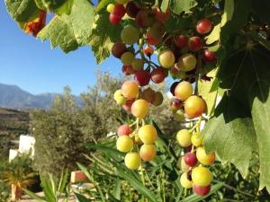 Landros A - 4hvězdičkové hotely ve městě Kamilárion