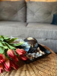 Domek Stodoła Całoroczny