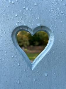 Maisons de vacances Le cottage : photos des chambres