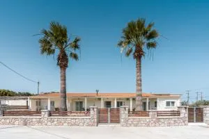 Absinthia Fanes - Soroni