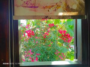 Spasmata Village Marios bungalows only adults