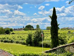 Maisons de vacances Gite de La Peloue - Jolie Maison dans les vignes : Maison 3 Chambres
