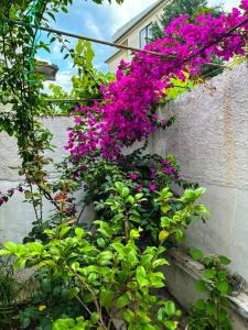 Garden One Bedroom Apartment